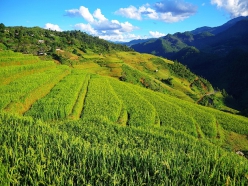 HÀ NỘI - MÙ CANG CHẢI - LA PÁN TÁN - NGHĨA LỘ - SUỐI GIÀNG 