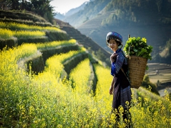 HÀ NỘI – MAI CHÂU – MỘC CHÂU – HÀ NỘI