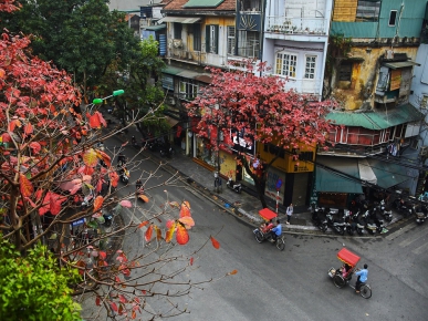 Bia Tiến Sỹ Văn Miếu – Di Sản Tư Liệu Thế Giới